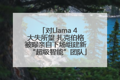 对Llama 4大失所望 扎克伯格被曝亲自下场组建新“超级智能”团队