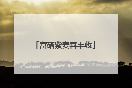 富硒紫麦喜丰收