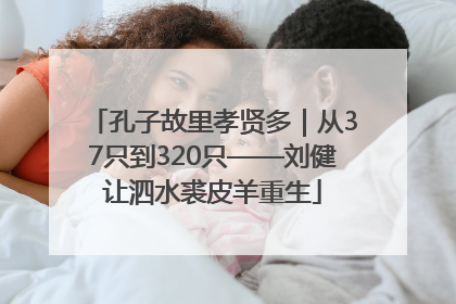 孔子故里孝贤多｜从37只到320只——刘健让泗水裘皮羊重生