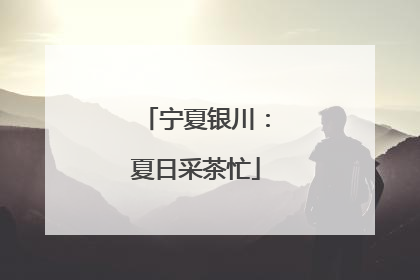 宁夏银川：夏日采茶忙