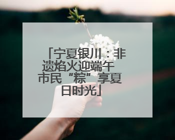 宁夏银川：非遗焰火迎端午 市民“粽”享夏日时光