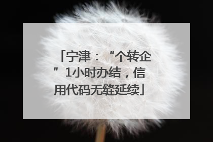 宁津：“个转企”1小时办结，信用代码无缝延续