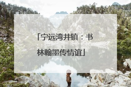 宁远湾井镇：书林翰墨传情谊