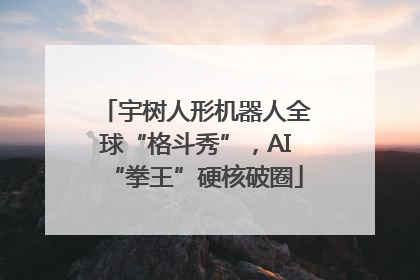 宇树人形机器人全球“格斗秀”，AI“拳王”硬核破圈