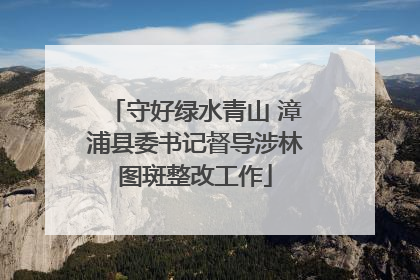 守好绿水青山 漳浦县委书记督导涉林图斑整改工作