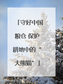 守好中国粮仓 保护耕地中的“大熊猫”
