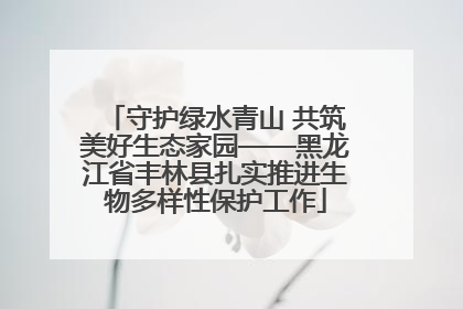 守护绿水青山 共筑美好生态家园——黑龙江省丰林县扎实推进生物多样性保护工作