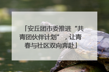 安丘团市委推进“共青团伙伴计划”，让青春与社区双向奔赴