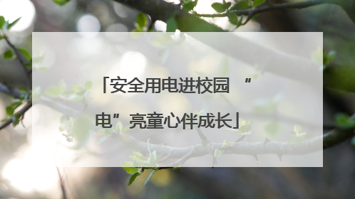 安全用电进校园 “电”亮童心伴成长