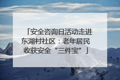 安全咨询日活动走进东湖村社区：老年居民收获安全“三件宝”