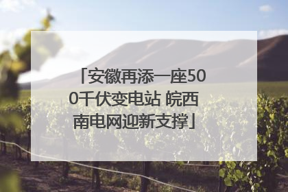 安徽再添一座500千伏变电站 皖西南电网迎新支撑
