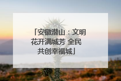安徽潜山：文明花开满城芳 全民共创幸福城