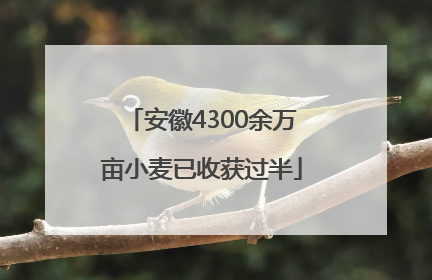 安徽4300余万亩小麦已收获过半