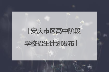 安庆市区高中阶段学校招生计划发布