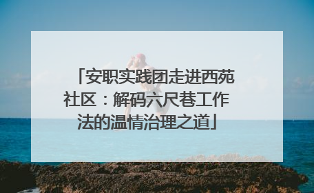 安职实践团走进西苑社区：解码六尺巷工作法的温情治理之道