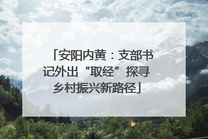 安阳内黄：支部书记外出“取经”探寻乡村振兴新路径