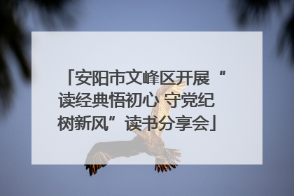 安阳市文峰区开展“读经典悟初心 守党纪树新风”读书分享会