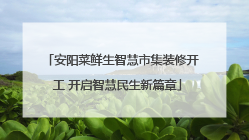 安阳菜鲜生智慧市集装修开工 开启智慧民生新篇章