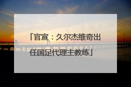 官宣：久尔杰维奇出任国足代理主教练