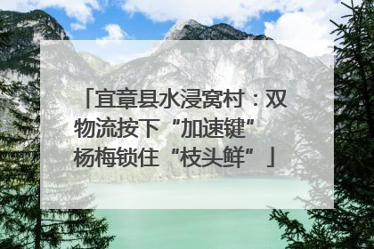 宜章县水浸窝村：双物流按下“加速键” 杨梅锁住“枝头鲜”