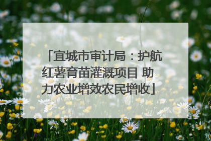 宜城市审计局：护航红薯育苗灌溉项目 助力农业增效农民增收