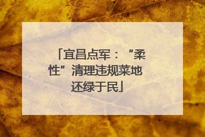 宜昌点军：“柔性”清理违规菜地 还绿于民