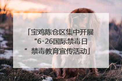 宝鸡陈仓区集中开展“6･26国际禁毒日”禁毒教育宣传活动