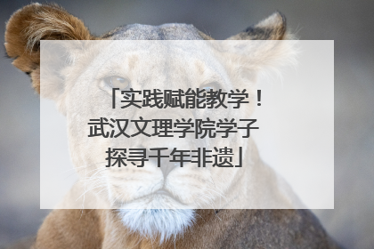 实践赋能教学！武汉文理学院学子探寻千年非遗