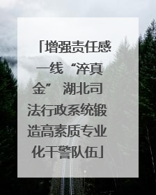 增强责任感 一线“淬真金” 湖北司法行政系统锻造高素质专业化干警队伍