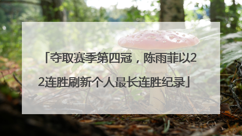 夺取赛季第四冠，陈雨菲以22连胜刷新个人最长连胜纪录
