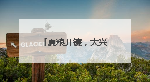 夏粮开镰，大兴长子营镇近6000亩小麦迎丰收