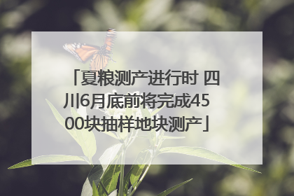 夏粮测产进行时 四川6月底前将完成4500块抽样地块测产