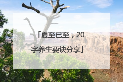 夏至已至，20字养生要诀分享