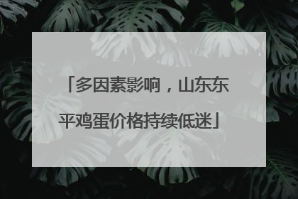 多因素影响，山东东平鸡蛋价格持续低迷