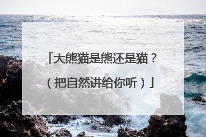 大熊猫是熊还是猫？（把自然讲给你听）