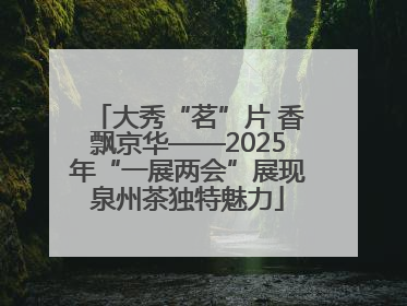大秀“茗”片 香飘京华——2025年“一展两会”展现泉州茶独特魅力