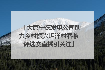 大唐宁德发电公司助力乡村振兴坦洋村春茶评选赛直播引关注