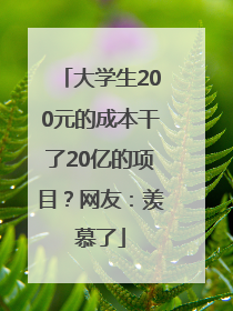 大学生200元的成本干了20亿的项目？网友：羡慕了