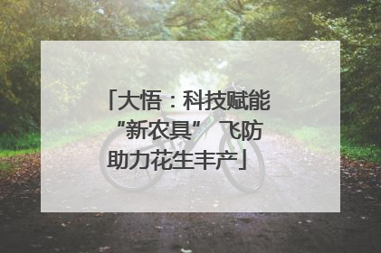 大悟：科技赋能“新农具” 飞防助力花生丰产
