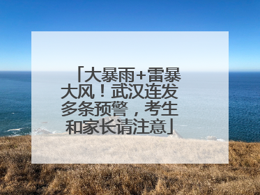 大暴雨+雷暴大风！武汉连发多条预警，考生和家长请注意