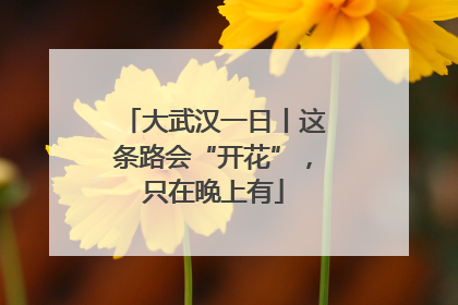 大武汉一日丨这条路会“开花”，只在晚上有