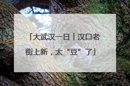大武汉一日︱汉口老街上新，太“豆”了