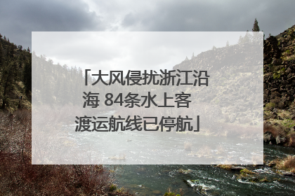 大风侵扰浙江沿海 84条水上客渡运航线已停航