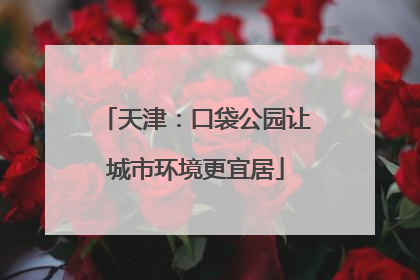 天津：口袋公园让城市环境更宜居