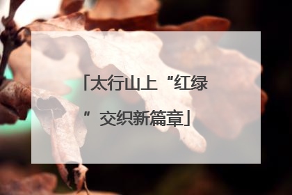 太行山上“红绿”交织新篇章