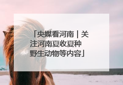 央媒看河南｜关注河南夏收夏种 野生动物等内容
