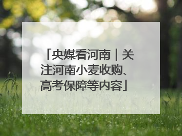 央媒看河南｜关注河南小麦收购、高考保障等内容