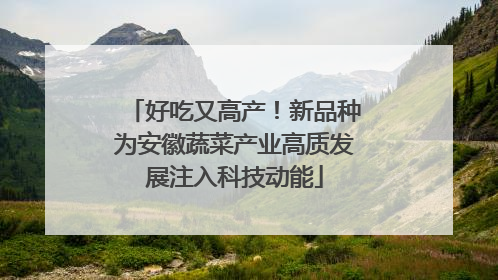 好吃又高产！新品种为安徽蔬菜产业高质发展注入科技动能