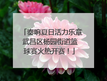 奏响夏日活力乐章 武昌区杨园街道篮球赛火热开赛！