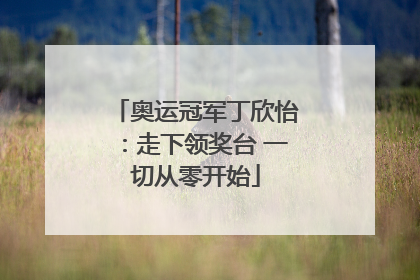 奥运冠军丁欣怡：走下领奖台 一切从零开始